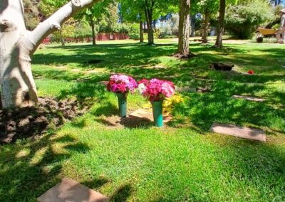 Cementerio de Mascotas