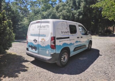 Carrocita Pet