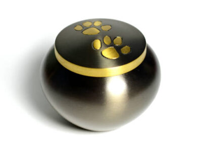 Anforita Pet