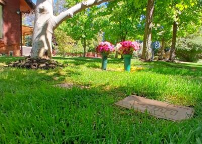 Cementerio de Mascotas